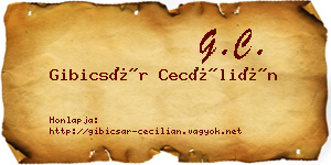 Gibicsár Cecílián névjegykártya